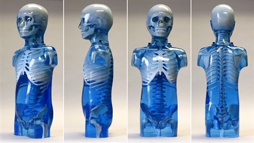 CIRS 715兒童彷真模體，CIRS 715兒童訓練模體