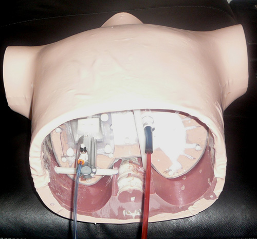 美國RSD RS-1500動(dòng)態(tài)呼吸模體，RS-1500動(dòng)態(tài)呼吸模體