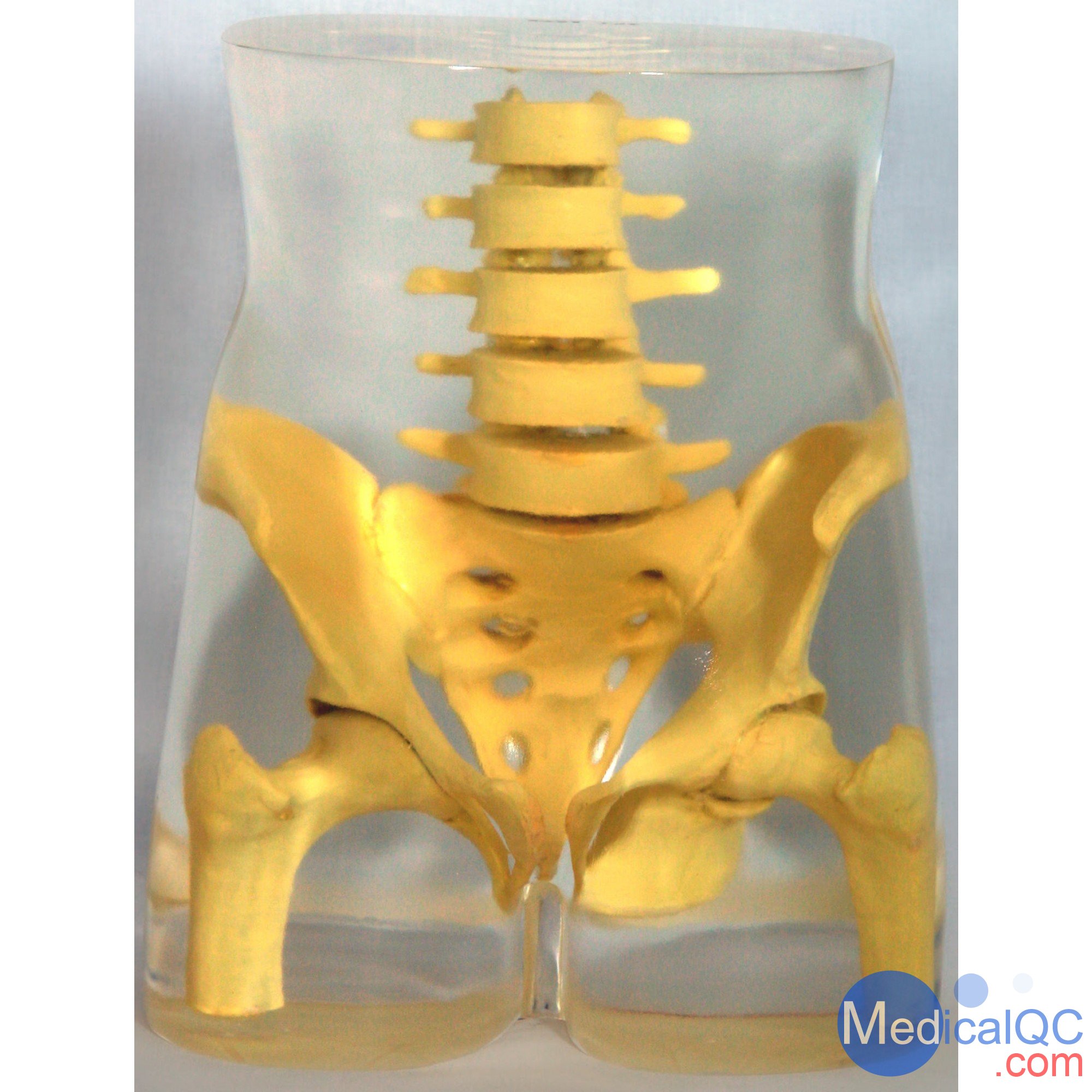 RSD RS-113骨盤(pán)模體，RS-113T脊椎模體