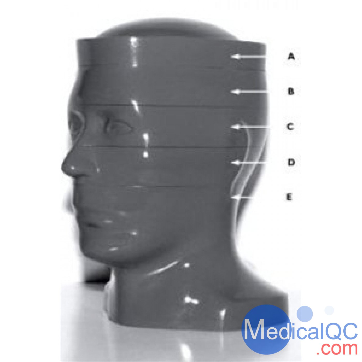 RSD RS-250頭部CT模體，RS-250頭部彷真CT模體