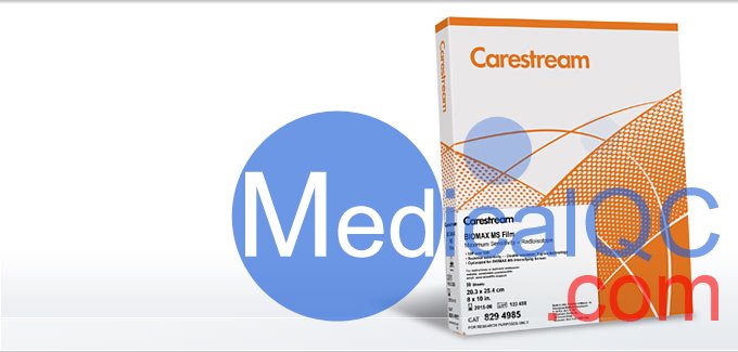 柯達(dá)BioMax MS膠片，BMS1 X射線膠片，Kodak BioMax MS科學(xué)膠片，Carestream自顯影膠片