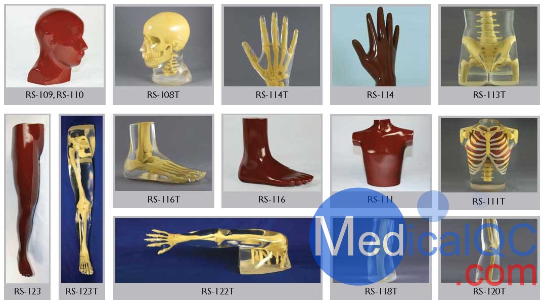 美國RSD人體部分模體，RSD RS-114T手臂模體,RSD RS-123T腿部模體