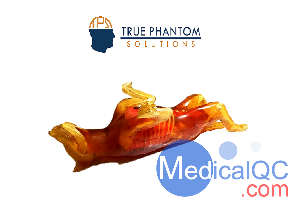Dog Phantom成年母狗模體，牧羊犬模體，獸醫(yī)診斷成像培訓(xùn)模體，可定制