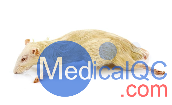 PlastiCreatures小動物塑化標(biāo)本，PlastiCreatures模體