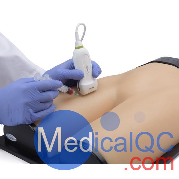 BPF1500-HP血管通路和區(qū)域麻醉超聲訓練模體，BPF1500-HP區(qū)域麻醉超聲模體