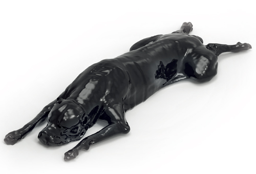 狗全身CT模體，EZ VET14000狗全身模型，可X射線和CT