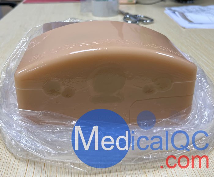 BPT195甲狀腺穿刺模型，BPT195超聲引導(dǎo)穿刺模體