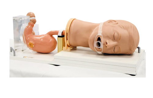 R21100胃模擬器,EGD胃鏡訓練模體,德國EZ胃模體