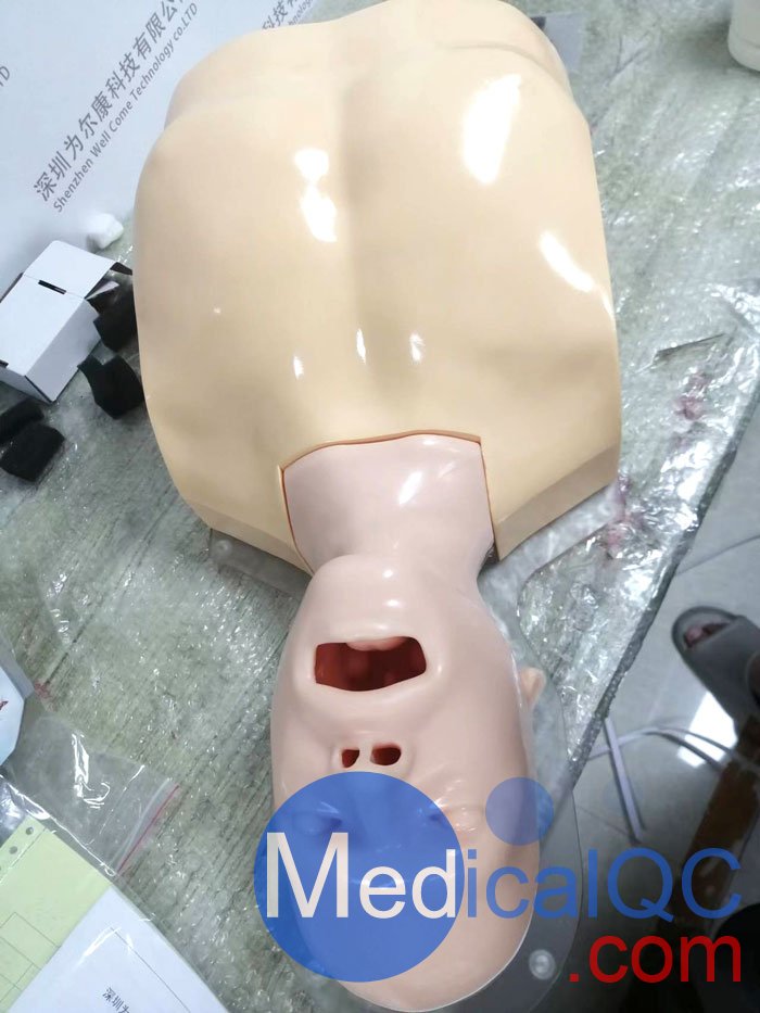 WEK-B05內(nèi)窺鏡支氣管模體，WEK-B05支氣管模型