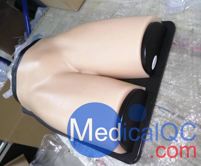 BPF1500-HP血管通路和區(qū)域麻醉超聲訓練模體，BPF1500-HP區(qū)域麻醉超聲模體