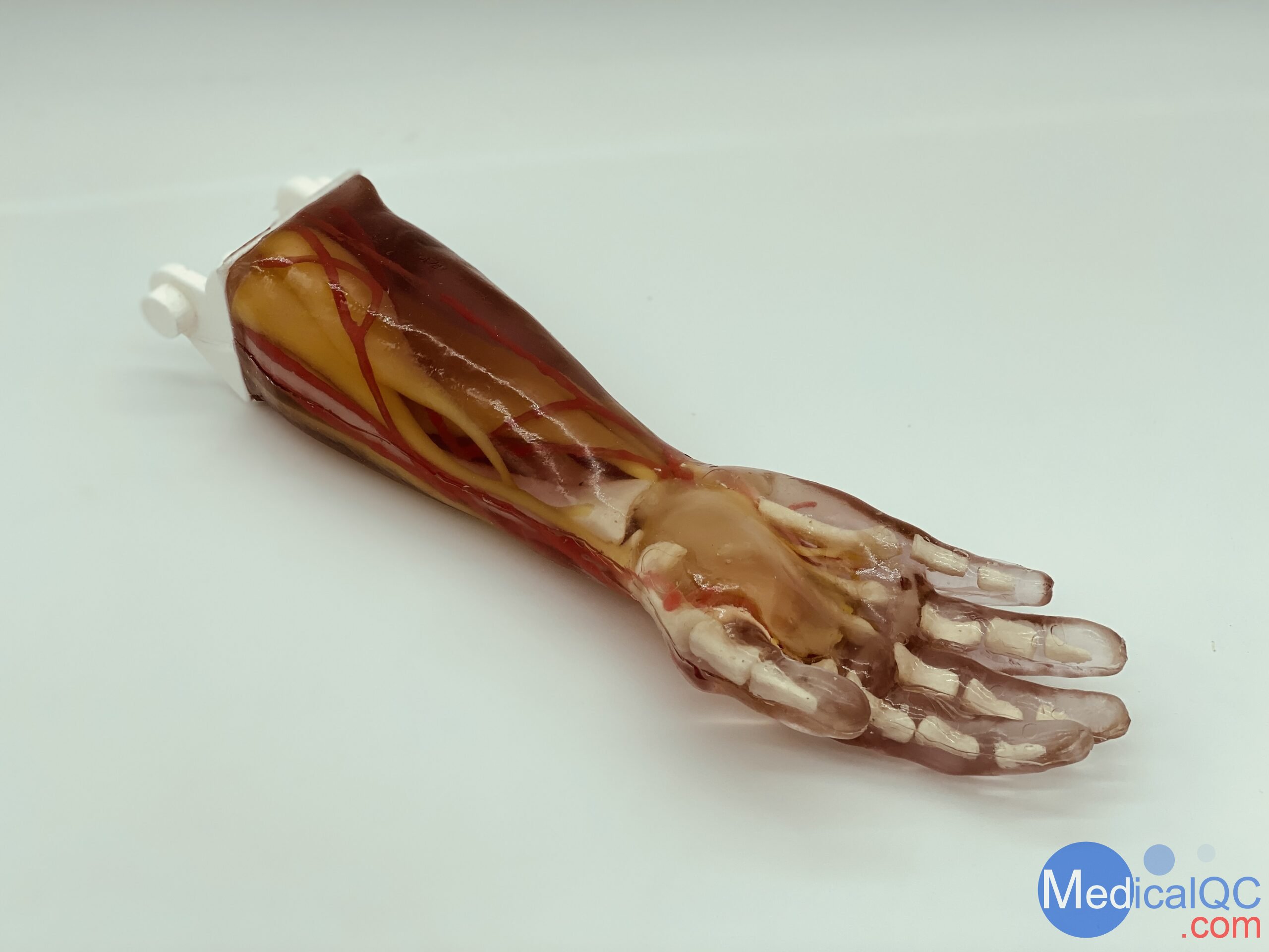 AR-A03成人手臂模型，AR-A03成人手臂模體