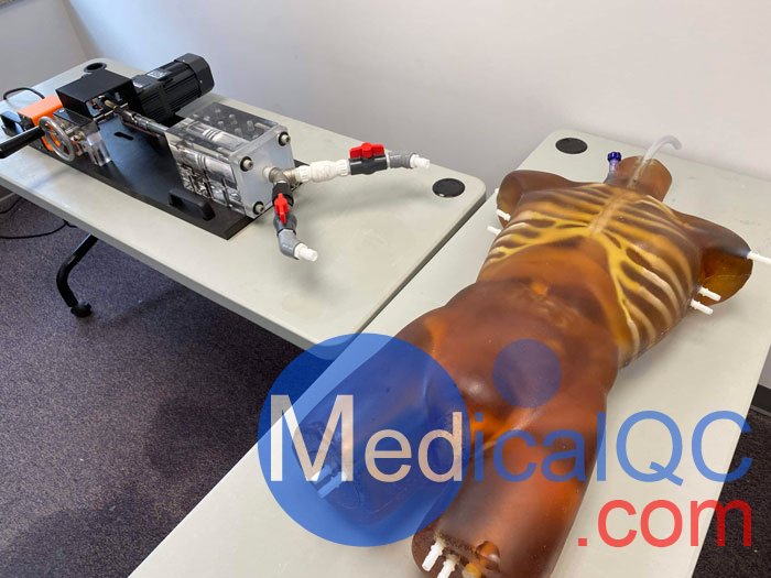 TO-A02成人軀干模體，TO-A02動態(tài)心臟運(yùn)動軀干模體