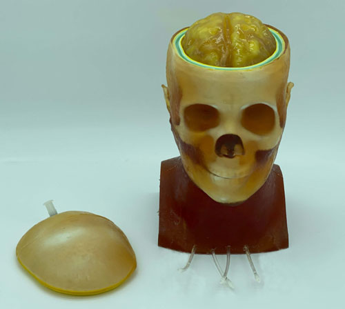 HD-C03成人頭模，HD-C03血管造影頭模，HD-C03頭部模體