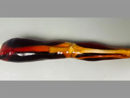 KE-A02成人膝關(guān)節(jié)模體，KE-A02腿部模型，KE-A02腿模體