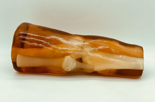 KE-A03成人膝關(guān)節(jié)，KE-A03膝關(guān)節(jié)模體,KE-A03膝關(guān)節(jié)模型