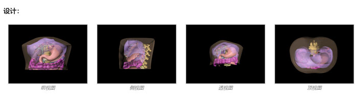 US-A03腹部模體,US-A03 FAST模體,US-A03成人腹部模型設計示圖