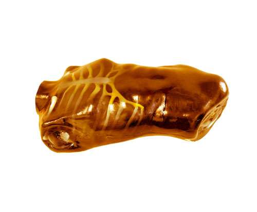 US-A04 FAST訓(xùn)練軀干模體，US-A04超聲軀干模體