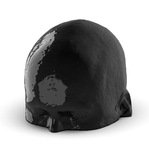 WEK-5005腦血管造影頭模，WEK-5005頭模， CTA AVM頭模