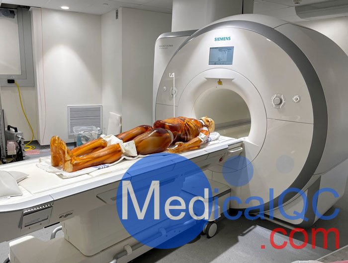 FB-A02成人全身模體,FB-A02全身CT模型，適用于X射線，CT,MRI