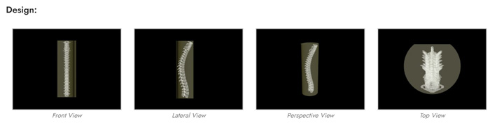 SE-A01成人脊柱模型,SE-A01成人脊柱模體設(shè)計(jì)示圖