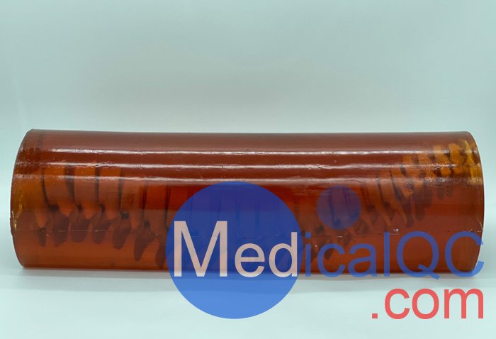 SE-A01成人脊柱模型,SE-A01成人脊柱模體產(chǎn)品實(shí)拍圖